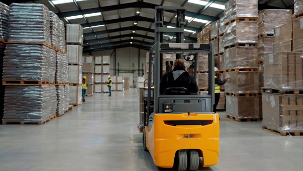 A full team of warehouse employees walking in warehouse. Team of workers, managers and female director in modern industrial factory, heavy industry, manufactrury. Group portrait.