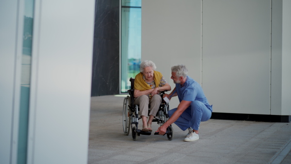 A male caregiver taking elderly patient on wheelchair stroll in the city. Geriatric nurse pushing wheelchair with lovely elderly woman.