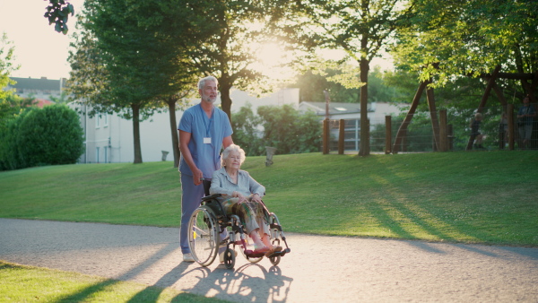 A video of male caregiver with elderly patient on wheelchair on stroll in the city park. Geriatric nurse taking senior in wheelchair on walk, enjoying warm autumn day.