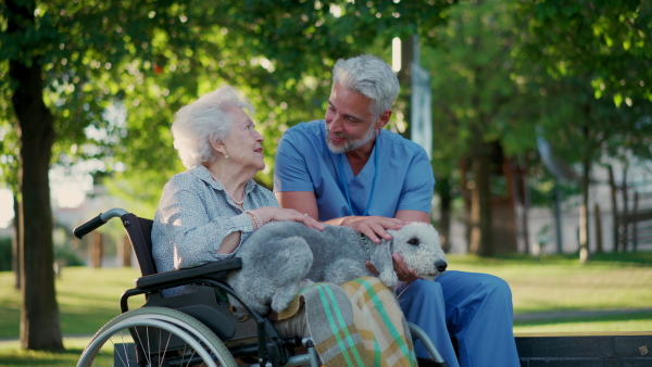 A caregiver helping senior woman to walk her dog. Geriatric nurse accompany lovely elderly patient during dog walking, sitting on bench.