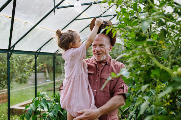 Grandfather teaches his granddaughter gardening, holding her in his arms and showing her vegetable plants in the greenhouse.