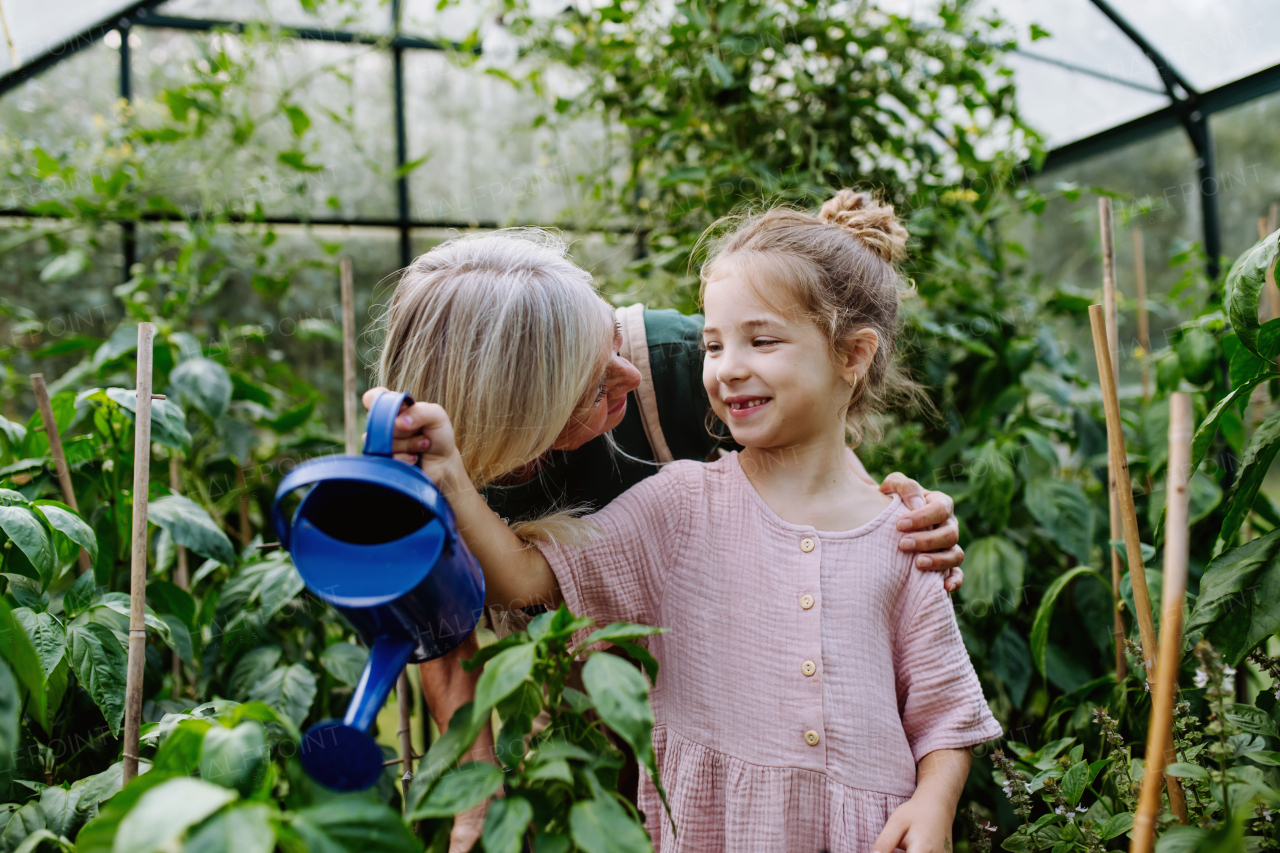 Young girl helping grandmother work in greenhouse, watering vegetable plants with small blue watering can.