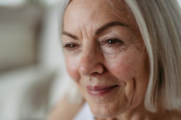 Portrait of beautiful mature woman with gray hair and soft smile, looking at camera.