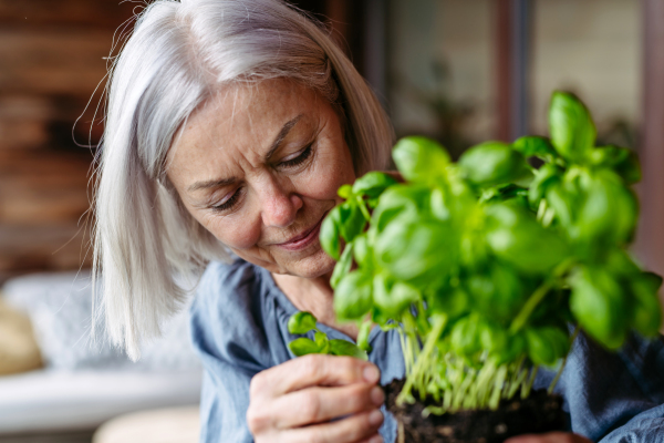 Portrait of beautiful mature woman taking care of plants, herbs on balcony. Spending free weekend at home, stay in.