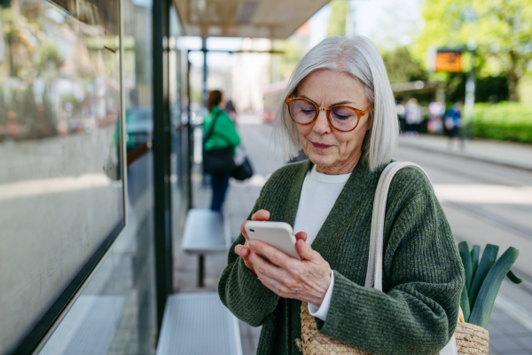 Mature woman with gray hair looking at timetable in smartphone. Older woman with eyeglasses waiting for public transport.