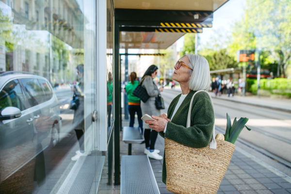 Mature woman with gray hair looking at timetable at bus stop. Older woman with eyeglasses waiting for a public transport.