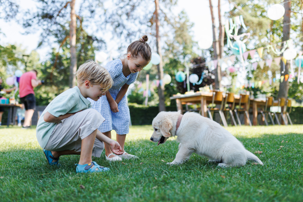 Children playing with a small puppy at a family garden party. Family gathering outdoors during warm autumn day. Portrait of little boy and girl lying on grass with Golden retriever puppy.