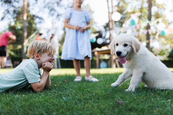 Children playing with a small puppy at a family garden party. Portrait of little boy lying on grass looking at Golden retriever puppy.