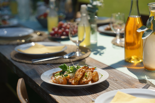 Delicious grilled food with fresh vegetable salad on a plate. Preparing meals and refreshments for a garden party. Outdoor grill or BBQ party.