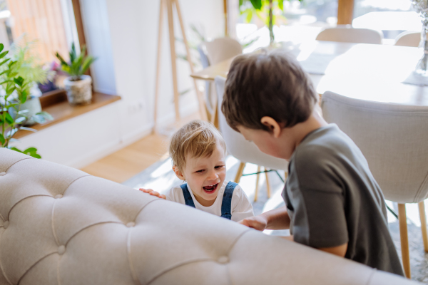 A little siblings playing in living room together.