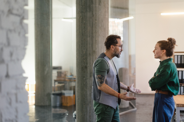 Colleagues arguing in an office, problems at work.