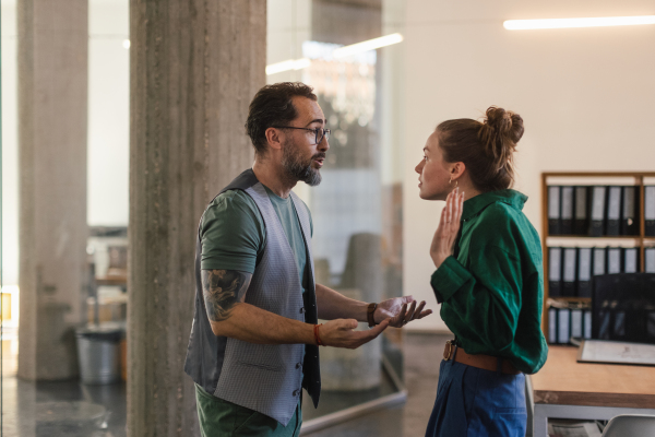 Colleagues arguing in an office, problems at work.