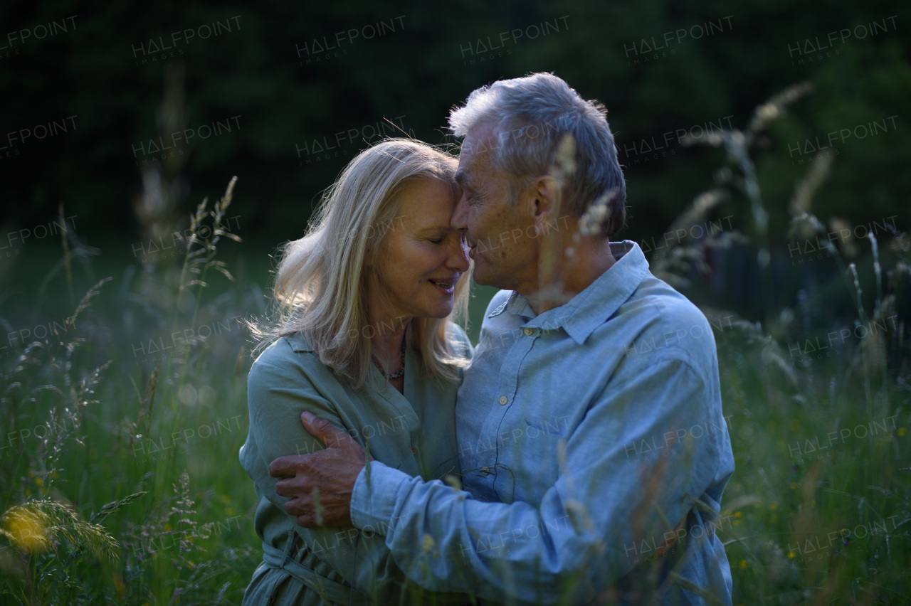 A portrait of affectionate senior couple kissing in nature.