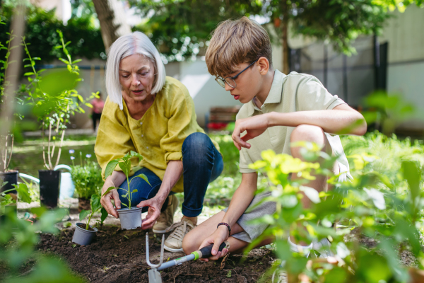 Teacher and young schoolboy during outdoor sustainable education, lesson in forest school. Planting vegetable seedling in soil. Concept of experiential learning, ecoliteracy.