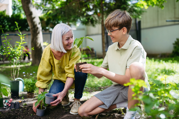 Teacher and young schoolboy during outdoor sustainable education, lesson in forest school. Planting vegetable seedling in soil. Concept of experiential learning, ecoliteracy.