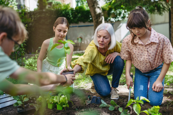 Portrait of students and female teacher at outdoor sustainable education class. Planting vegetable seedling, herbs in soil. Concept of experiential learning, ecoliteracy.