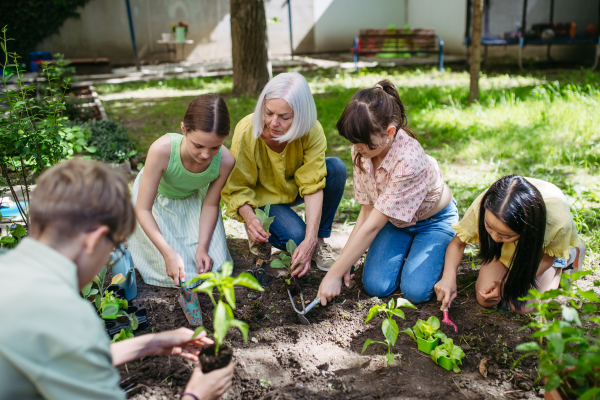 Young kids taking care of plants in school garden during at outdoor sustainable education class, planting flowers, herbs and vegetables. Concept of experiential learning, ecoliteracy.