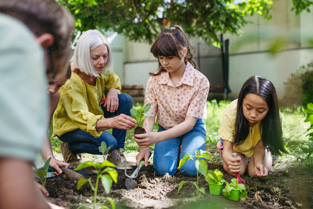 Portrait of students and female teacher at outdoor sustainable education class. Planting vegetable seedling, herbs in soil. Concept of experiential learning, ecoliteracy.