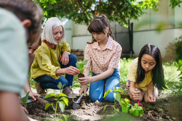 Portrait of students and female teacher at outdoor sustainable education class. Planting vegetable seedling, herbs in soil. Concept of experiential learning, ecoliteracy.