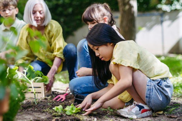 Teacher and young students during outdoor sustainable education, lesson in forest school. Planting vegetable seedling in soil. Concept of experiential learning, ecoliteracy.