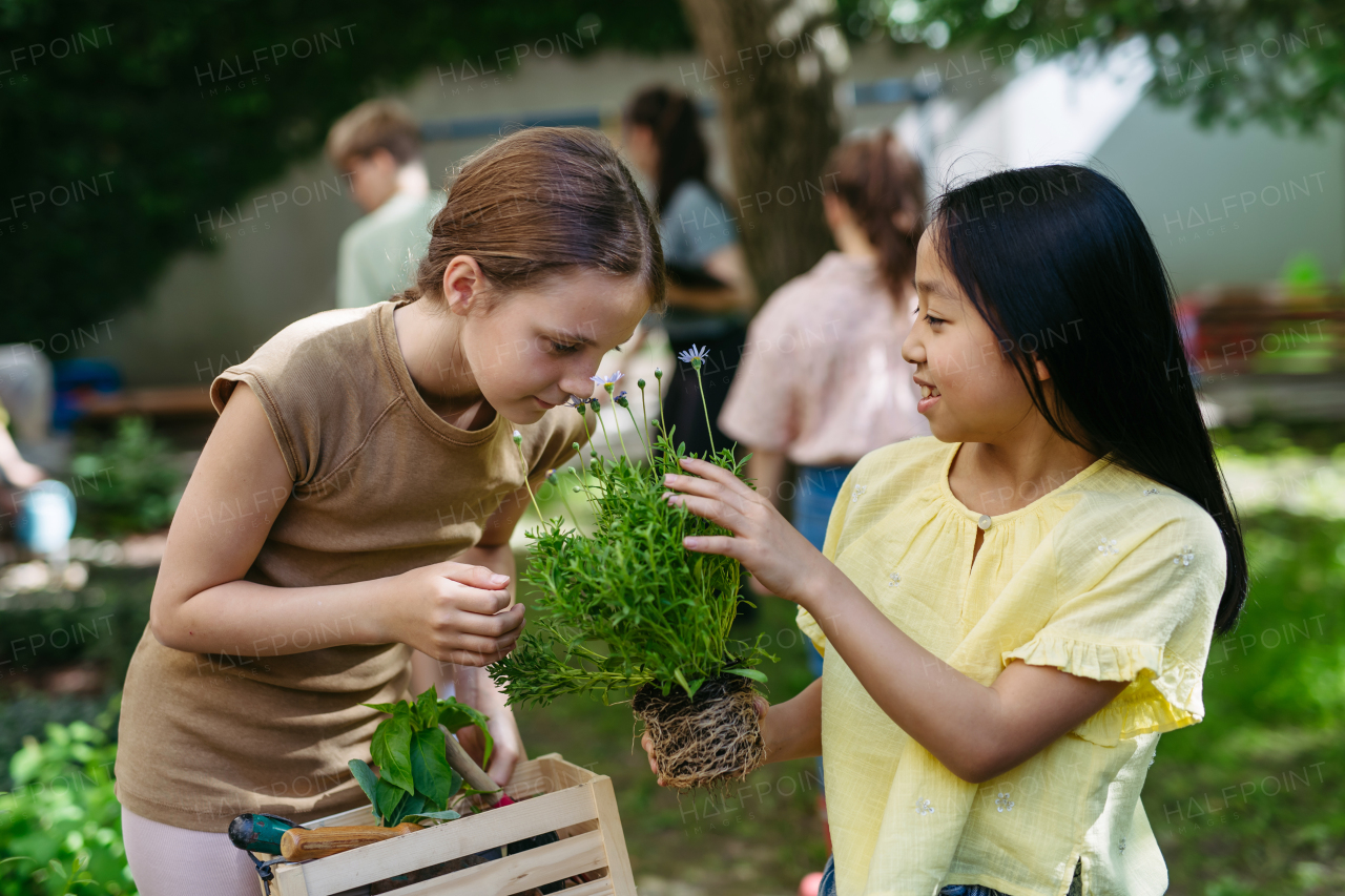 Portrait of two cute schoolgirls taking care of plants in school garden during at outdoor sustainable education class.Concept of experiential learning, ecoliteracy.