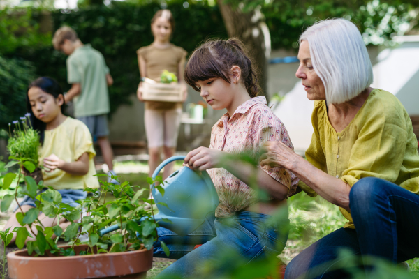 Young kids taking care of plants in school garden during at outdoor sustainable education class, planting flowers, herbs and vegetables. Concept of experiential learning, ecoliteracy.