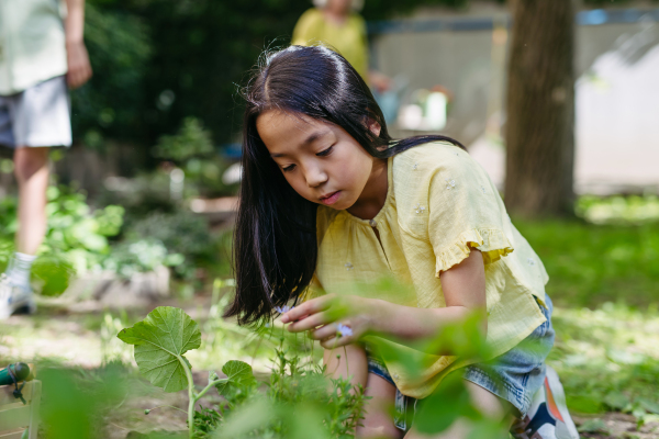 Portrait of cute schoolgirl taking care of plants in school garden during at outdoor sustainable education class.Concept of experiential learning, ecoliteracy.