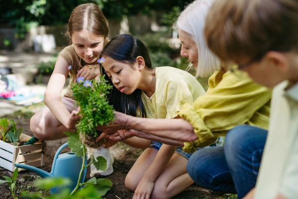 Young kids taking care of plants in school garden during at outdoor sustainable education class, planting flowers, herbs and vegetables. Concept of experiential learning, ecoliteracy.