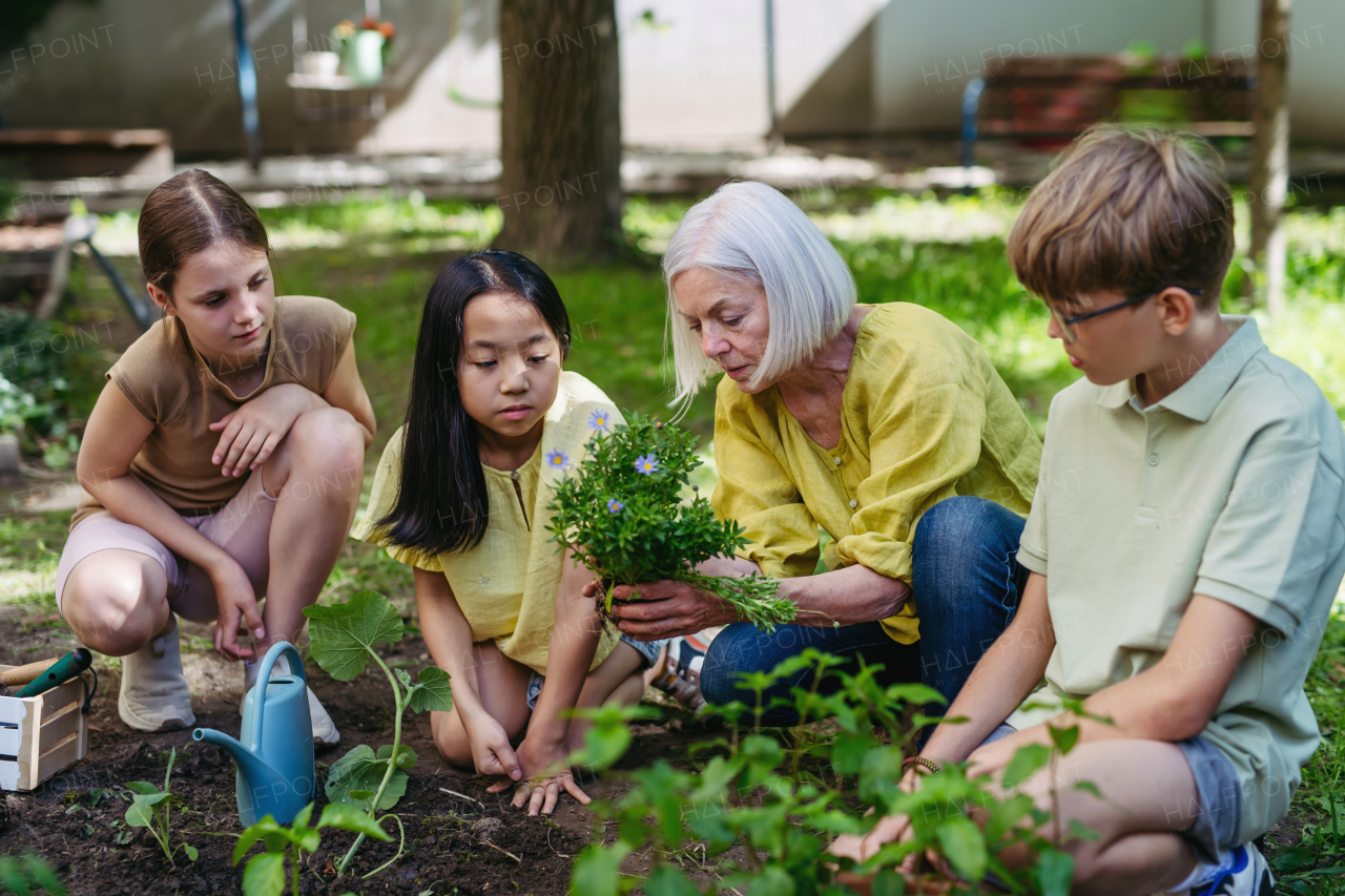 Young kids taking care of plants in school garden during at outdoor sustainable education class, planting flowers, herbs and vegetables. Concept of experiential learning, ecoliteracy.