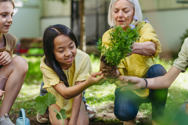 Young kids taking care of plants in school garden during at outdoor sustainable education class, planting flowers, herbs and vegetables. Concept of experiential learning, ecoliteracy.