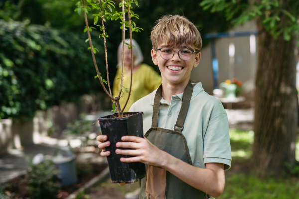 Young student boy holding fruit tree seedling. Kids taking care of school garden during outdoor sustainable education, class in forest school.