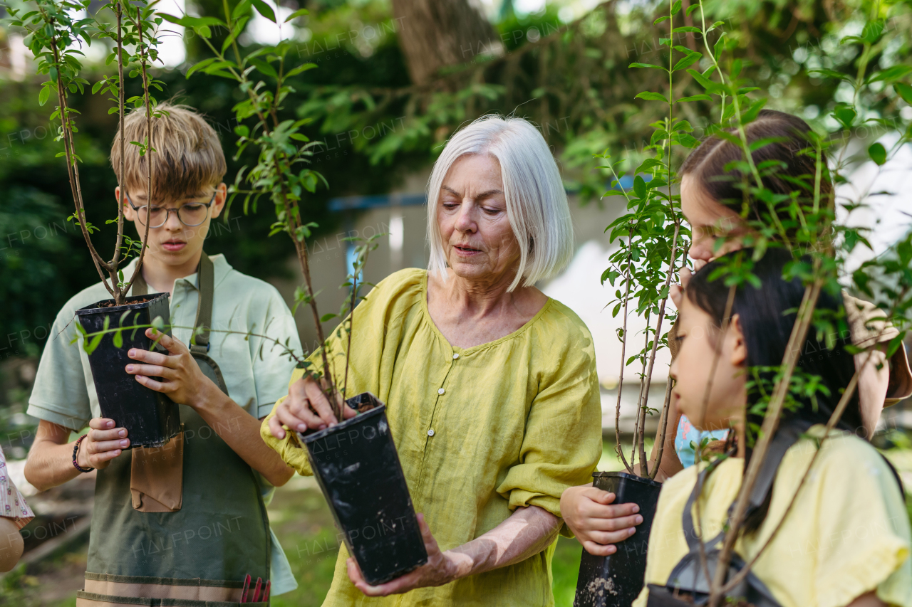 Kids learning about fruit tree seedling and fruit bushes, taking care of school garden during outdoor sustainable education, class in forest school.