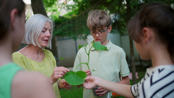 Students and female teacher at outdoor sustainable education class. Kids taking care of plants in school garden. Concept of experiential learning, ecoliteracy.