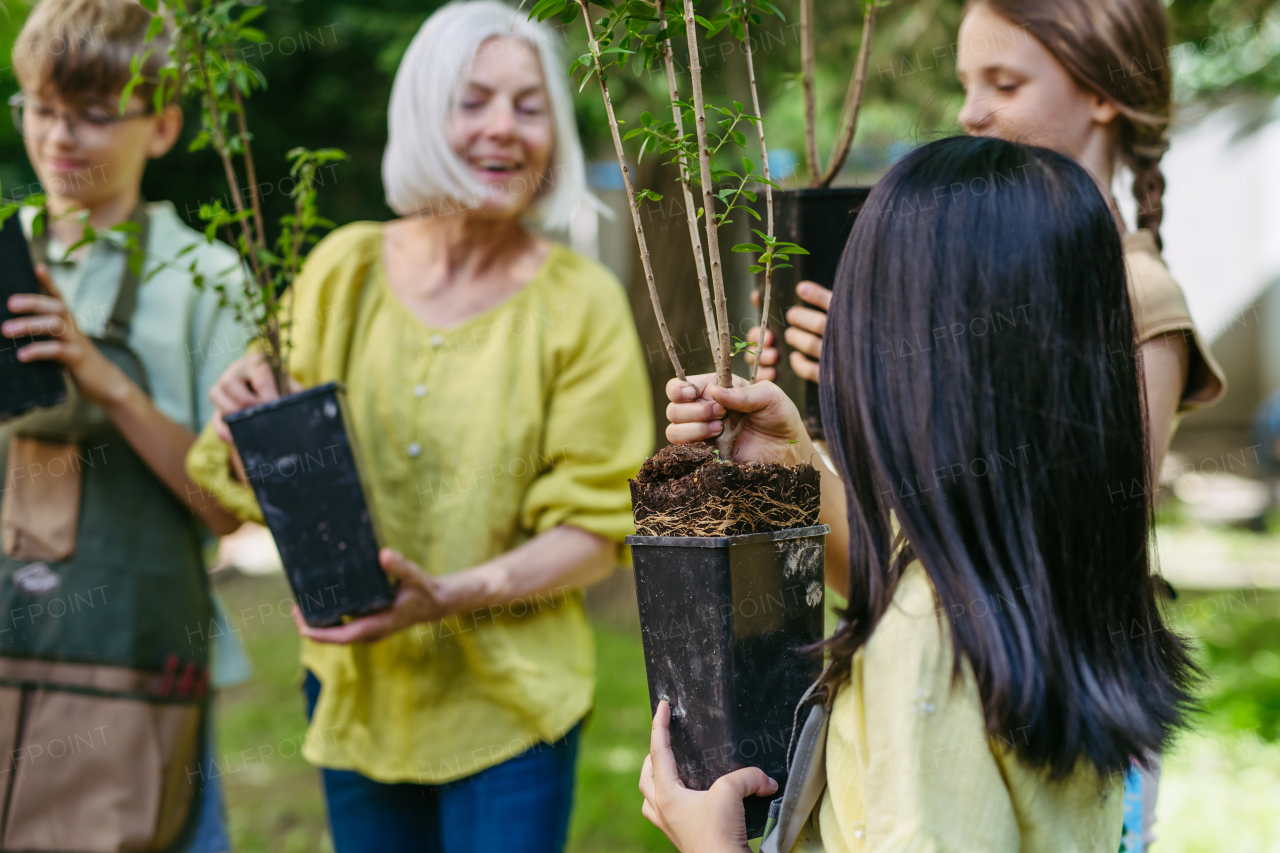 Kids learning about fruit tree seedling and fruit bushes, taking care of school garden during outdoor sustainable education, class in forest school.