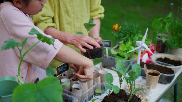 Girl student growing vegetable and herb seedlings, close up. Outdoor sustainable education class in school garden Concept of experiential learning, ecoliteracy.