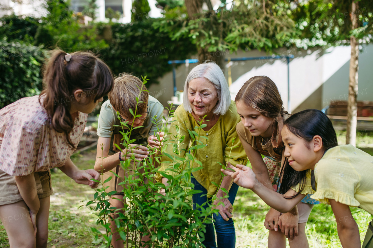 Kids learning about fruit tree seedling and fruit bushes, taking care of school garden during outdoor sustainable education, class in forest school.