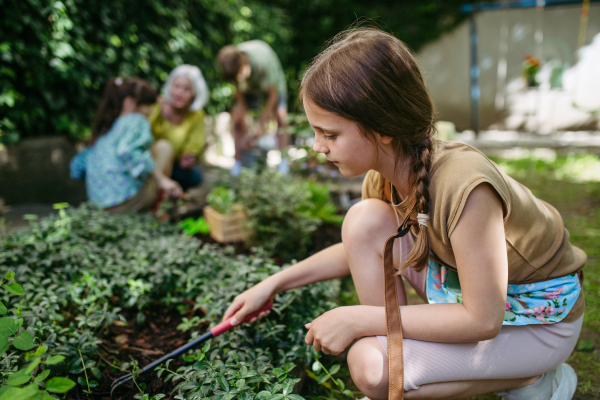 Kids taking care of plants in school garden during at outdoor sustainable education class. Concept of experiential learning, ecoliteracy.