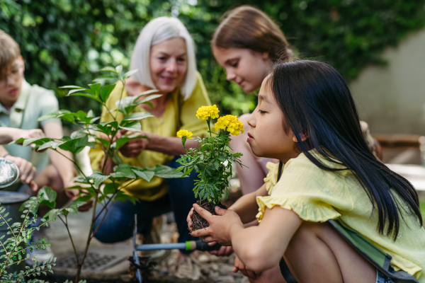 Young kids taking care of plants in school garden during at outdoor sustainable education class, planting flowers, herbs and vegetables. Concept of experiential learning, ecoliteracy.