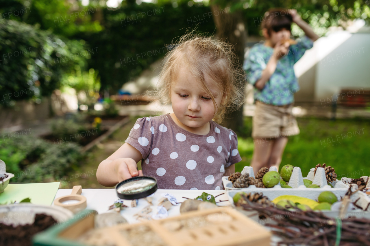 Little girl looking at models of insect with magnifying glass, learning about wildlife in forest kindergarten, preschool.