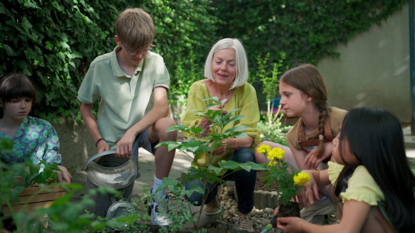 Students and female teacher at outdoor sustainable education class. Kids taking care of plants in school garden. Concept of experiential learning, ecoliteracy.