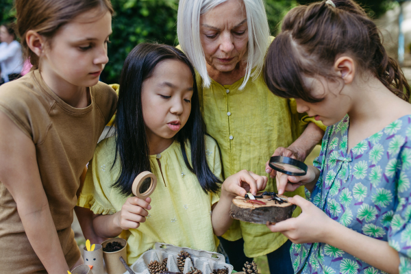 Children looking at models of insect, learning about wildlife during outdoor sustainable educational class, using magnifying glass.