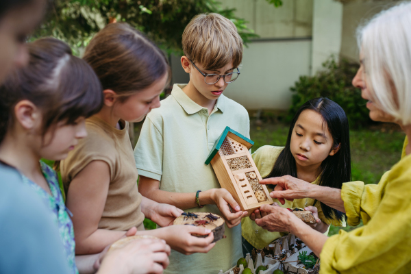 Insect hotel as educational tool for children in outdoor sustainable educational class. Young students learning about insect and biodiversity, holding wooden bug house.