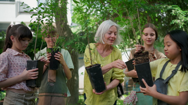 Students and female teacher at outdoor sustainable education class. Kids taking care of plants in school garden. Concept of experiential learning, ecoliteracy.