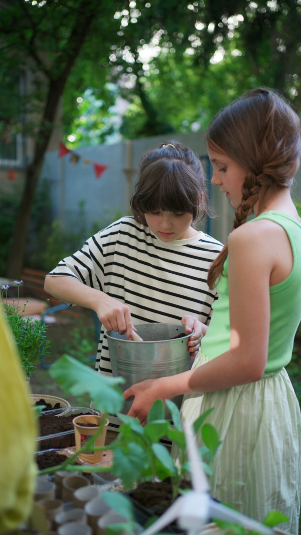 Young kids taking care of plants in school garden during at outdoor sustainable education class, planting flowers, herbs and vegetables. Concept of experiential learning, ecoliteracy.