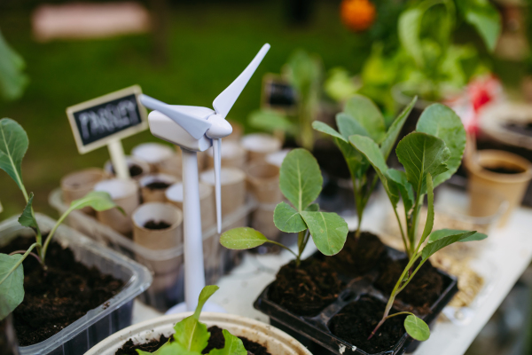 Growing vegetables and herb seedlings. Outdoor sustainable education class in school garden Concept of experiential learning, ecoliteracy.