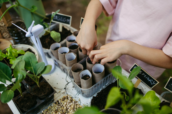 Students growing vegetable and herb seedlings. Outdoor sustainable education class in school garden Concept of experiential learning, ecoliteracy.