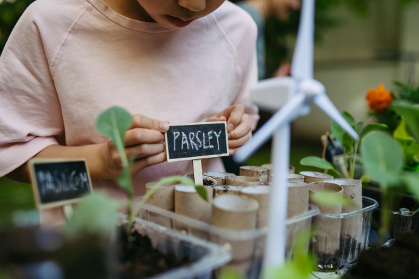 Students growing vegetable and herb seedlings. Outdoor sustainable education class in school garden Concept of experiential learning, ecoliteracy.