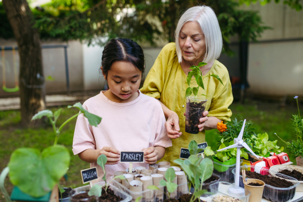 Girl student growing vegetable and herb seedlings, teacher helping her. Outdoor sustainable education class in school garden Concept of experiential learning, ecoliteracy.