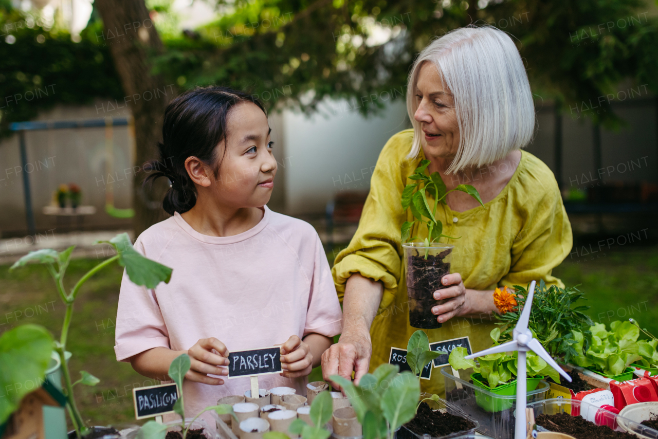 Girl student growing vegetable and herb seedlings, teacher helping her. Outdoor sustainable education class in school garden Concept of experiential learning, ecoliteracy.