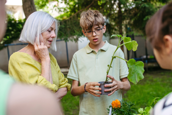 Children learning about vegetable seedlings and gardening at outdoor sustainable education class in school garden. Concept of experiential learning, ecoliteracy.